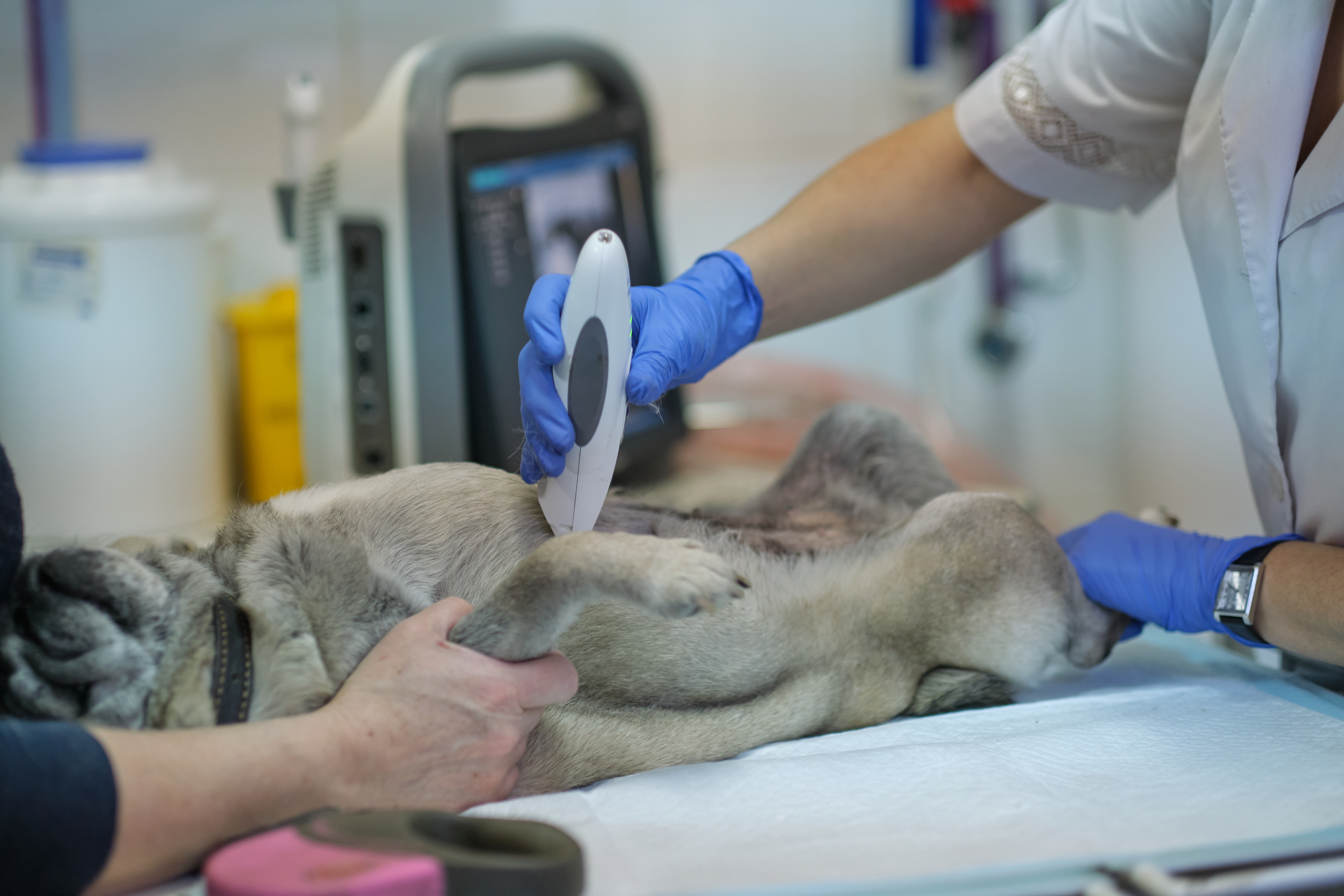 진짜 현장을 아는 사람들과 함께